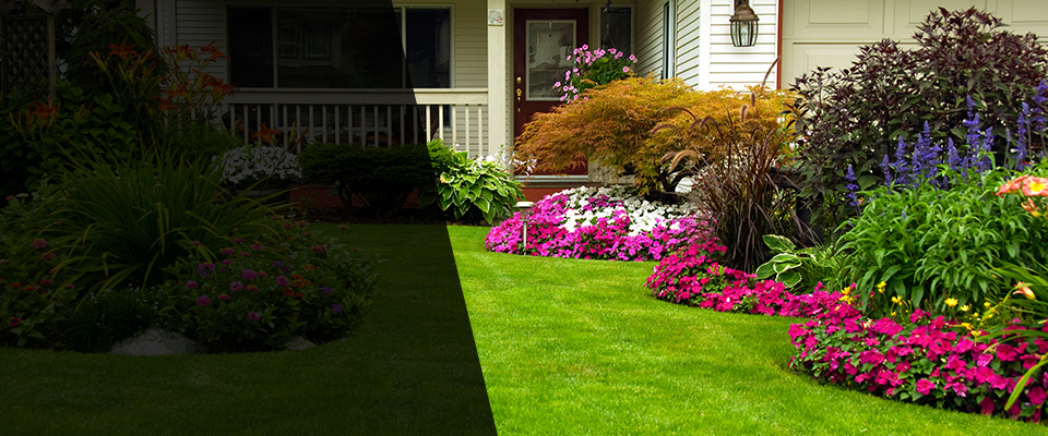 Galliano Landscapers