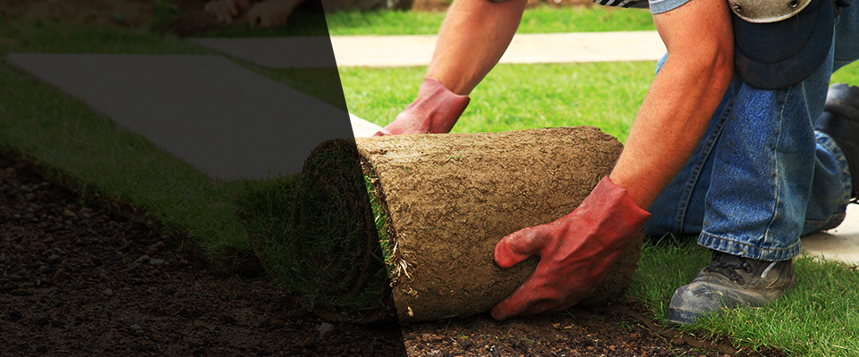 Galliano Landscapers
